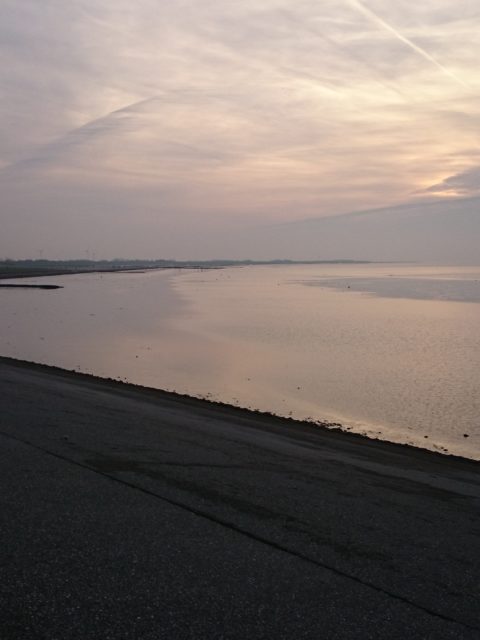 Ferienwohnung Hausrosengarten Hage Ostfriesland Hilgenriedersiel