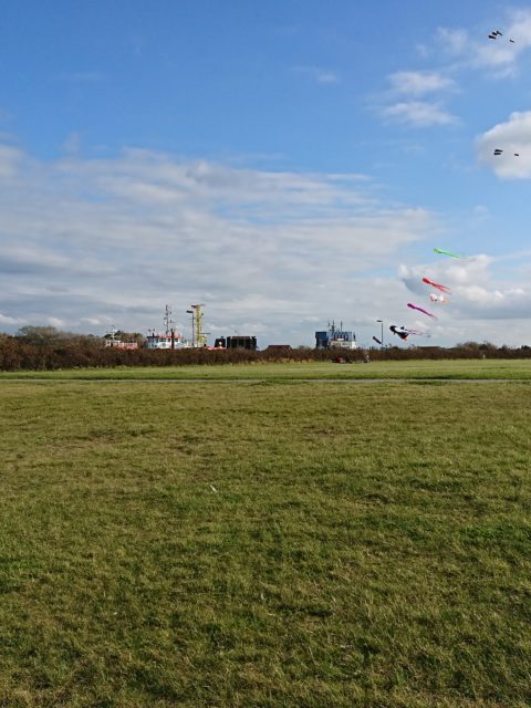 Ferienwohnung Hausrosengarten Hage Ostfriesland Norden Norddeich