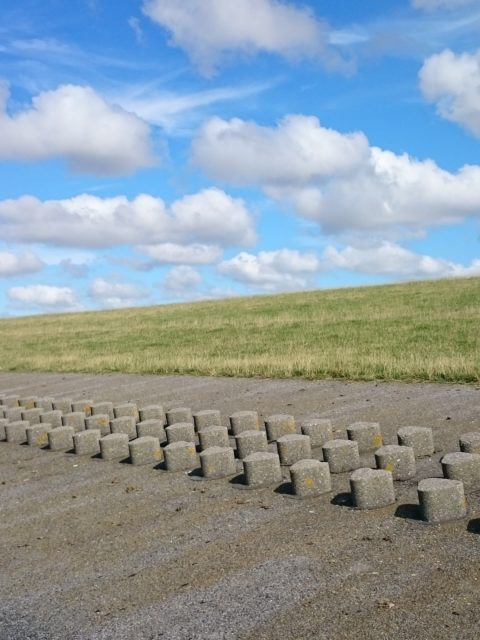 Ferienwohnung Hausrosengarten Hage Ostfriesland Norden Norddeich