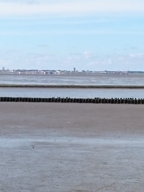 Ferienwohnung Hausrosengarten Hage Ostfriesland Norden Norddeich