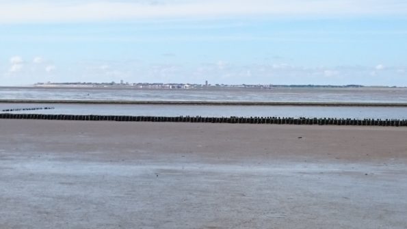 Ferienwohnung Hausrosengarten Hage Ostfriesland Norden Norddeich