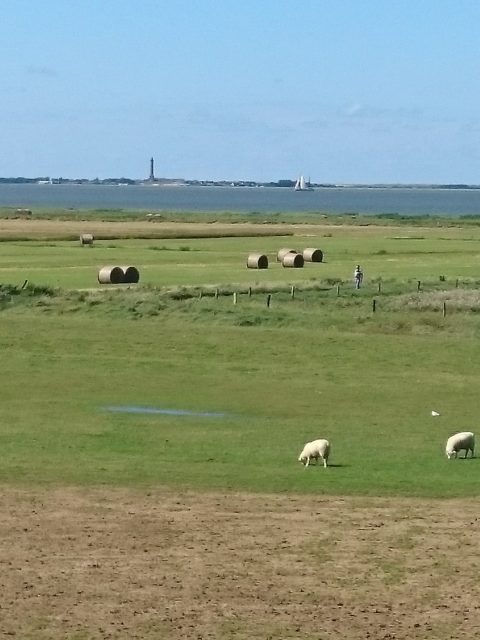 Ferienwohnung Hausrosengarten Hage Ostfriesland Hilgenriedersiel