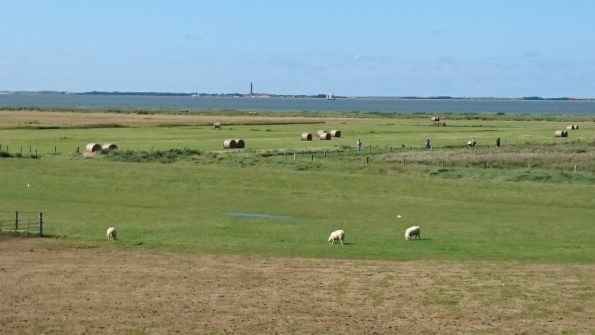 Ferienwohnung Hausrosengarten Hage Ostfriesland Hilgenriedersiel