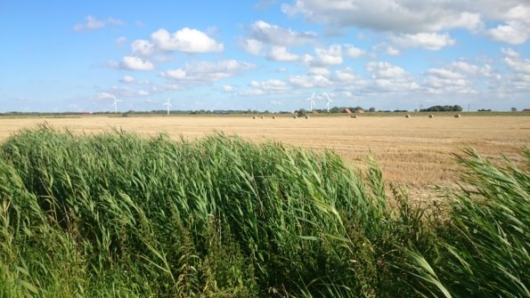 Ferienwohnung Hausrosengarten Hage Ostfriesland Hilgenriedersiel