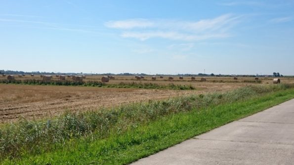 Ferienwohnung Hausrosengarten Hage Ostfriesland Hilgenriedersiel