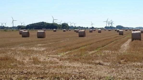 Ferienwohnung Hausrosengarten Hage Ostfriesland Hilgenriedersiel