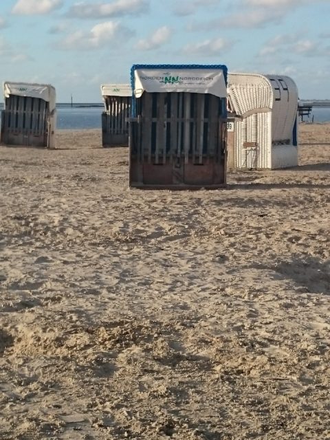 Ferienwohnung Hausrosengarten Hage Ostfriesland Norden Norddeich