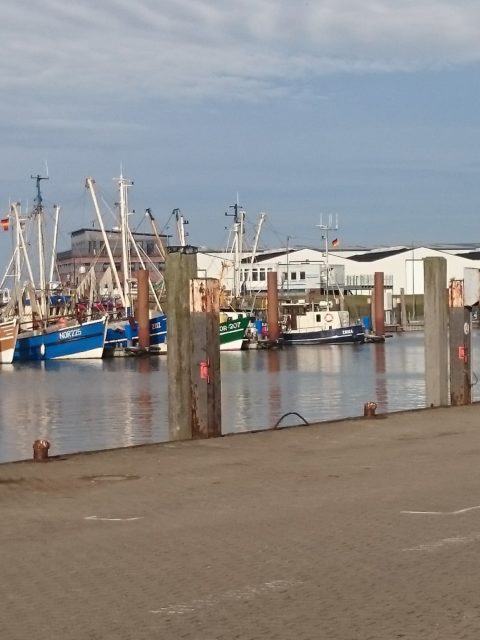 Ferienwohnung Hausrosengarten Hage Ostfriesland Hilgenriedersiel