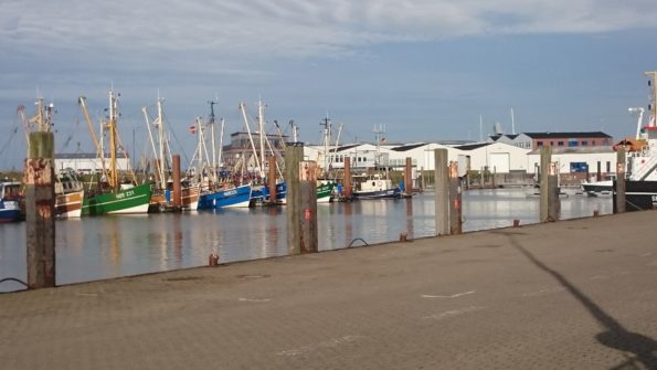 Ferienwohnung Hausrosengarten Hage Ostfriesland Hilgenriedersiel