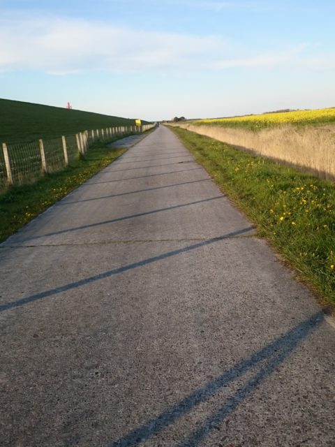 Ferienwohnung Hausrosengarten Hage Ostfriesland Hilgenriedersiel