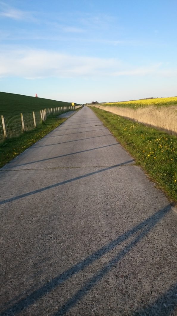 Ferienwohnung Hausrosengarten Hage Ostfriesland Hilgenriedersiel
