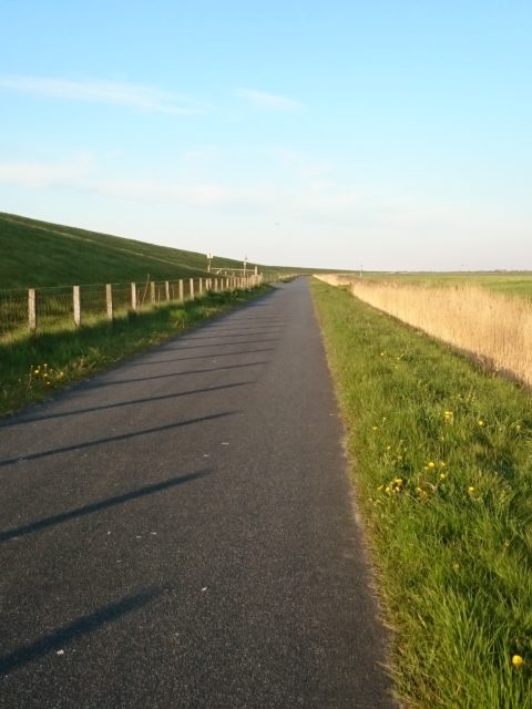 Ferienwohnung Hausrosengarten Hage Ostfriesland Hilgenriedersiel