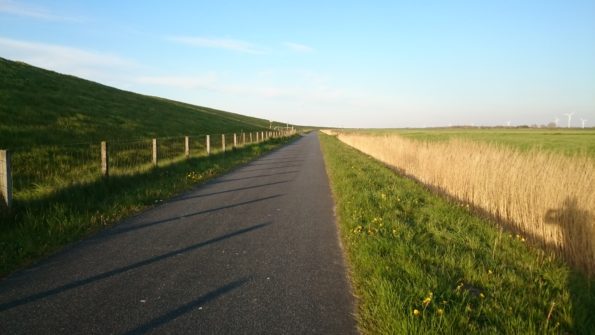 Ferienwohnung Hausrosengarten Hage Ostfriesland Hilgenriedersiel