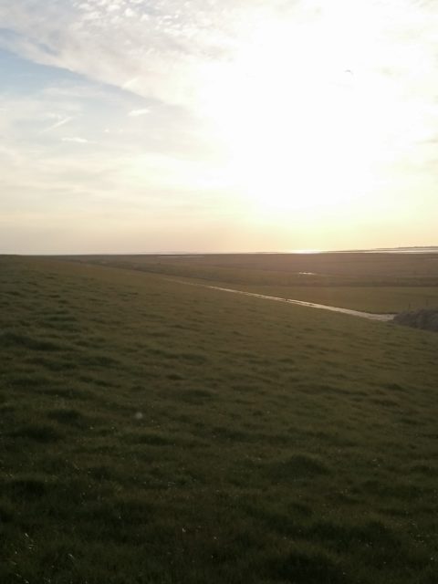 Ferienwohnung Hausrosengarten Hage Ostfriesland Hilgenriedersiel