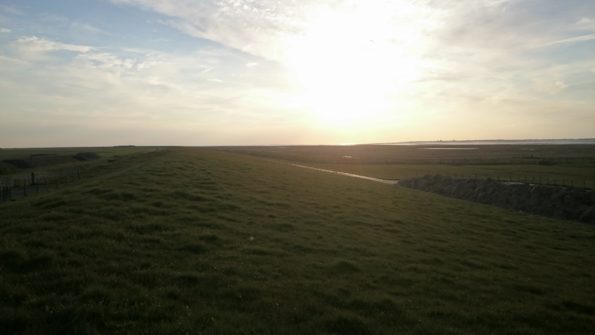 Ferienwohnung Hausrosengarten Hage Ostfriesland Hilgenriedersiel