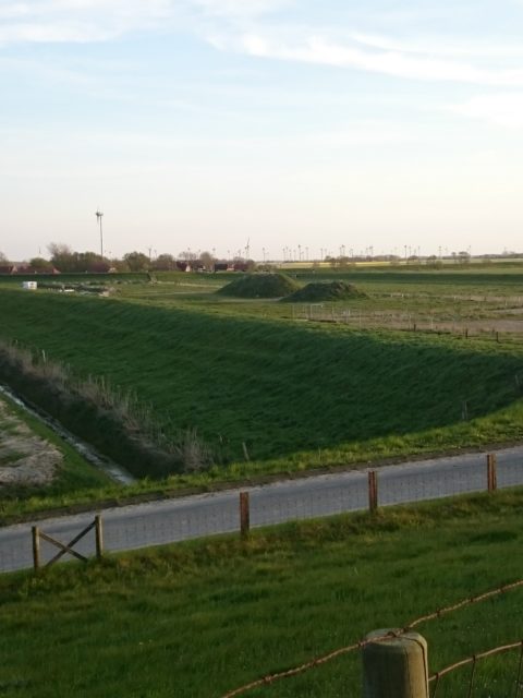 Ferienwohnung Hausrosengarten Hage Ostfriesland Hilgenriedersiel