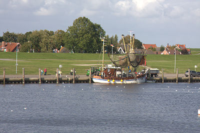 Ferienwohnung Hausrosengarten Hage Ostfriesland Greetsiel