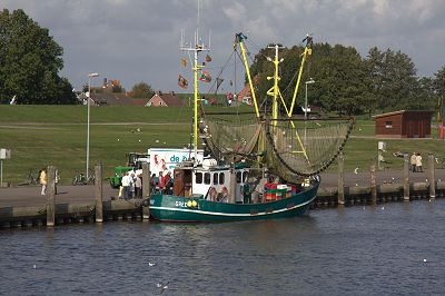 Ferienwohnung Hausrosengarten Hage Ostfriesland Greetsiel