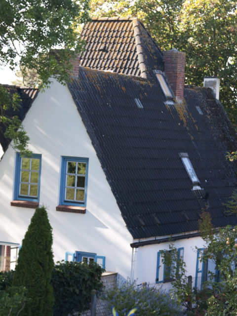 Ferienwohnung Hausrosengarten Hage Ostfriesland Greetsiel