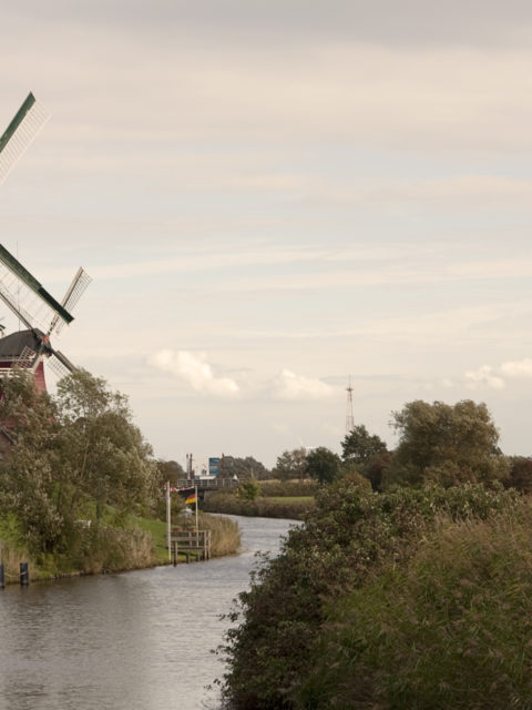 Ferienwohnung Hausrosengarten Hage Ostfriesland Greetsiel